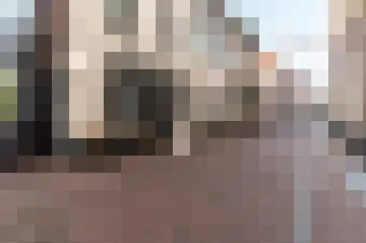 Bongerdsteeg 2 C Harderwijk thumbnail 24