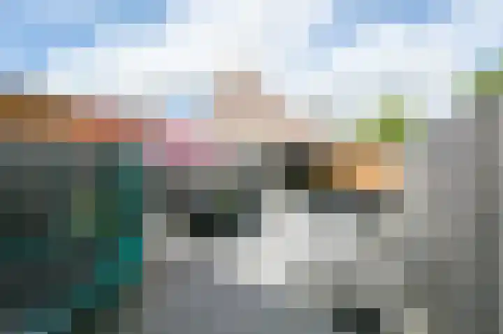Bongerdsteeg 2 C Harderwijk thumbnail 29