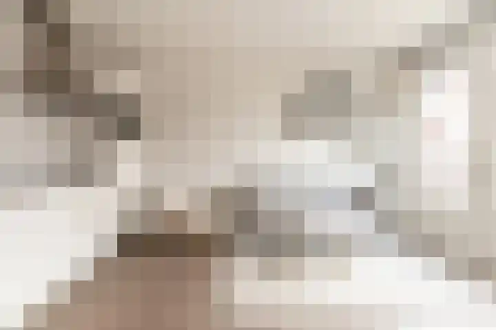 Bongerdsteeg 2 C Harderwijk thumbnail 7