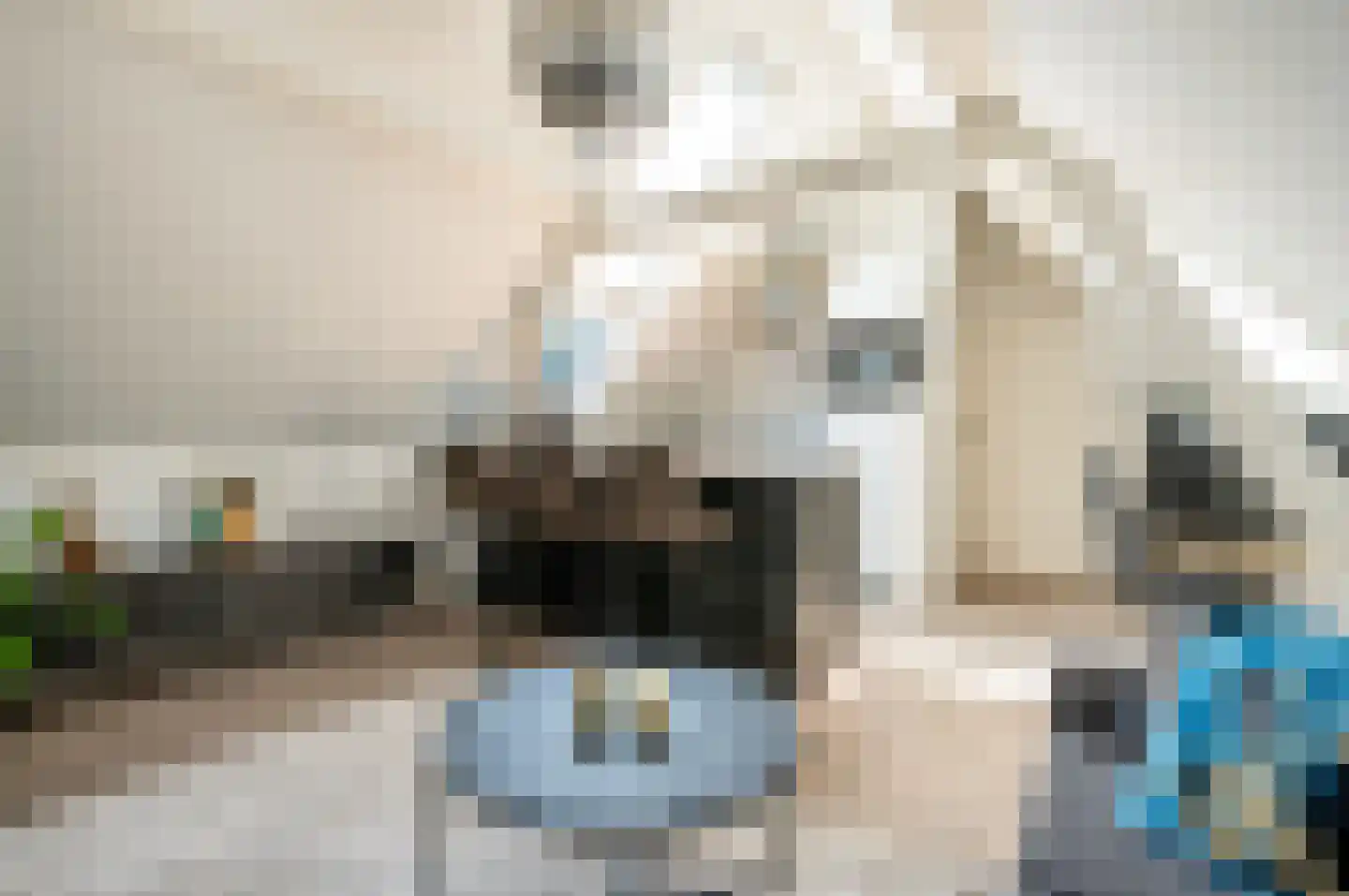 Bongerdsteeg 2 D Harderwijk thumbnail 10