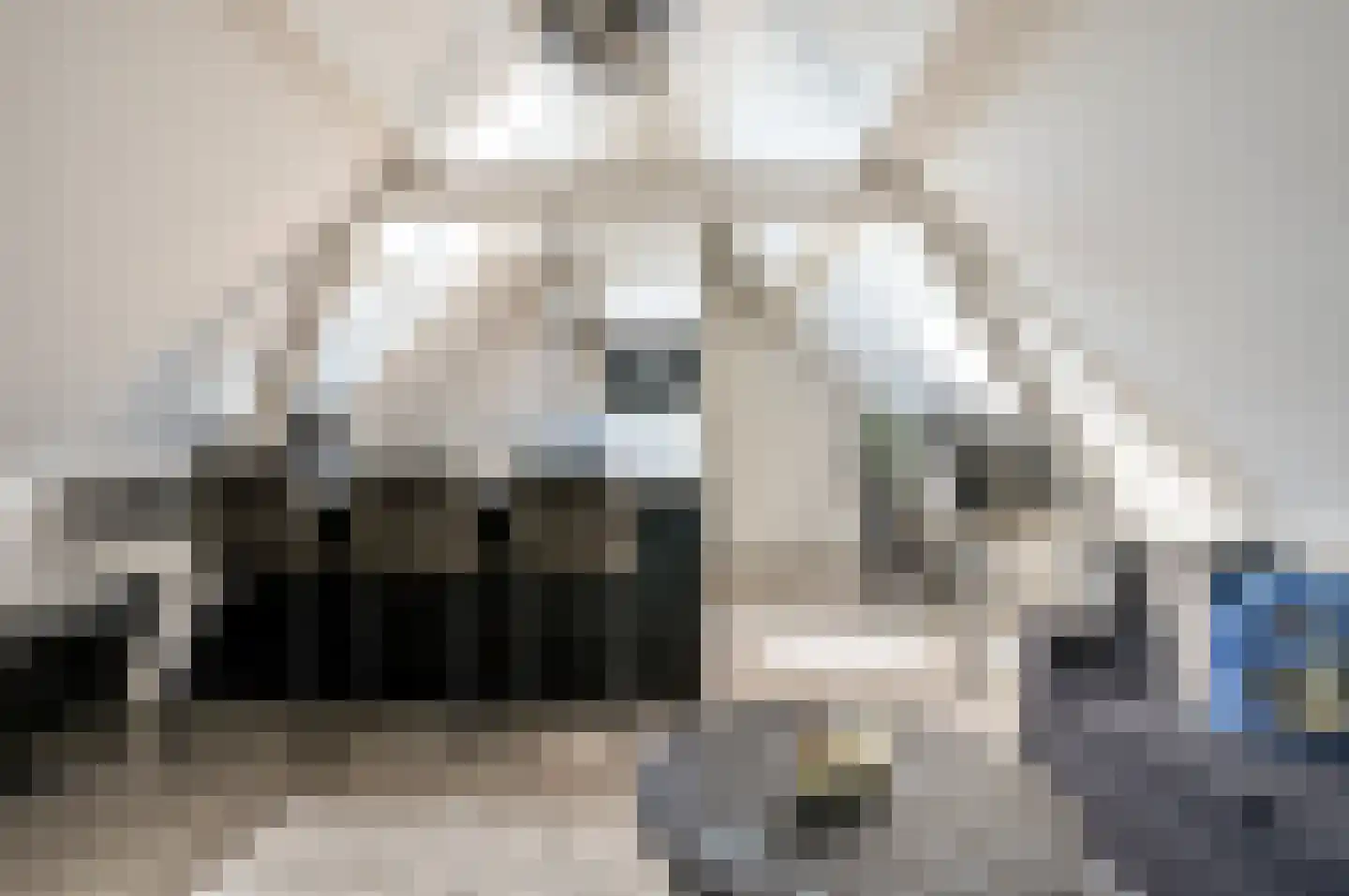 Bongerdsteeg 2 D Harderwijk thumbnail 11