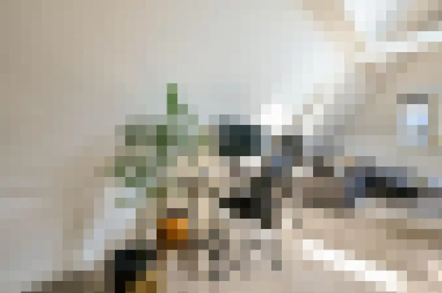 Bongerdsteeg 2 D Harderwijk thumbnail 12