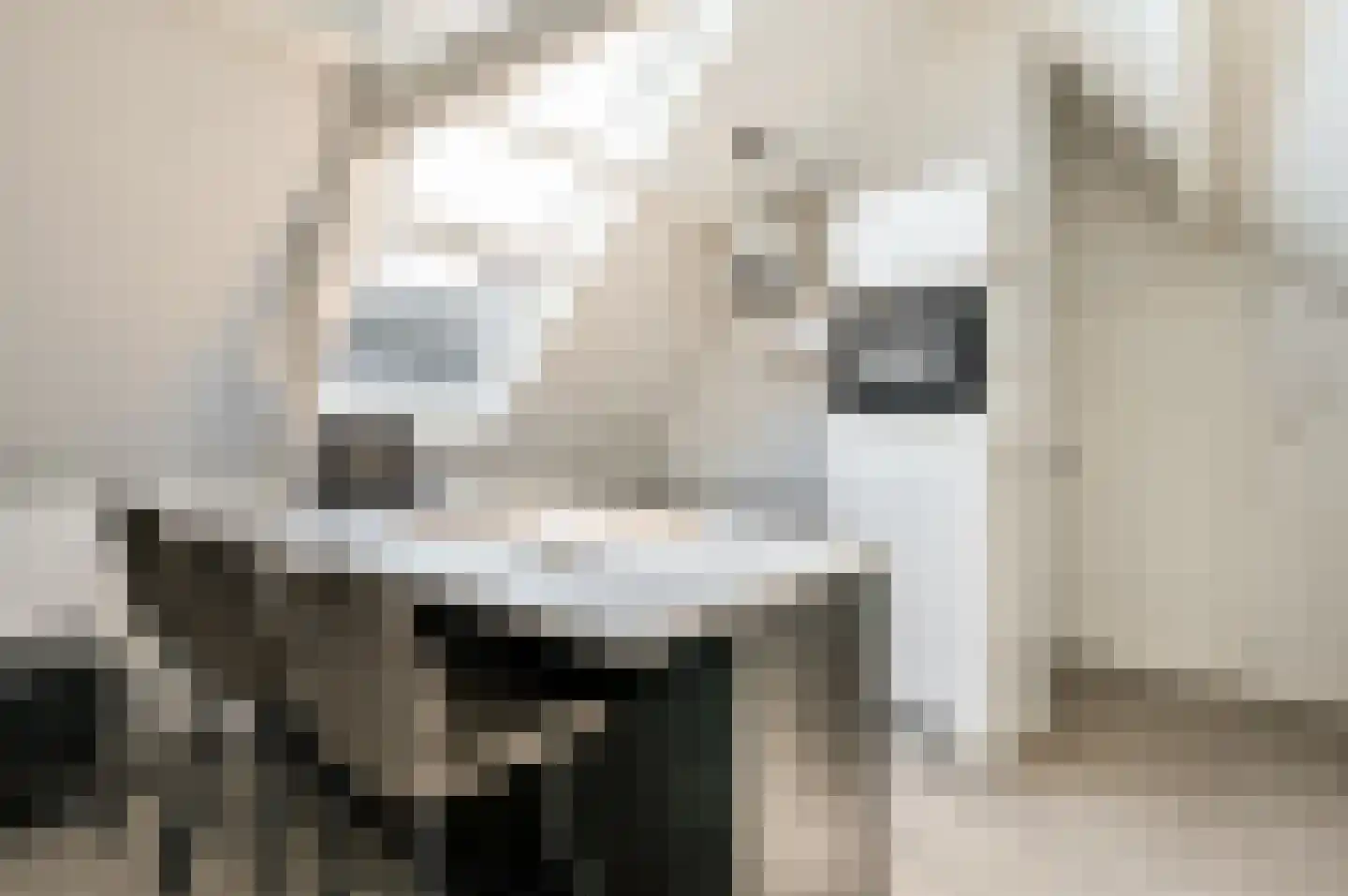Bongerdsteeg 2 D Harderwijk thumbnail 13
