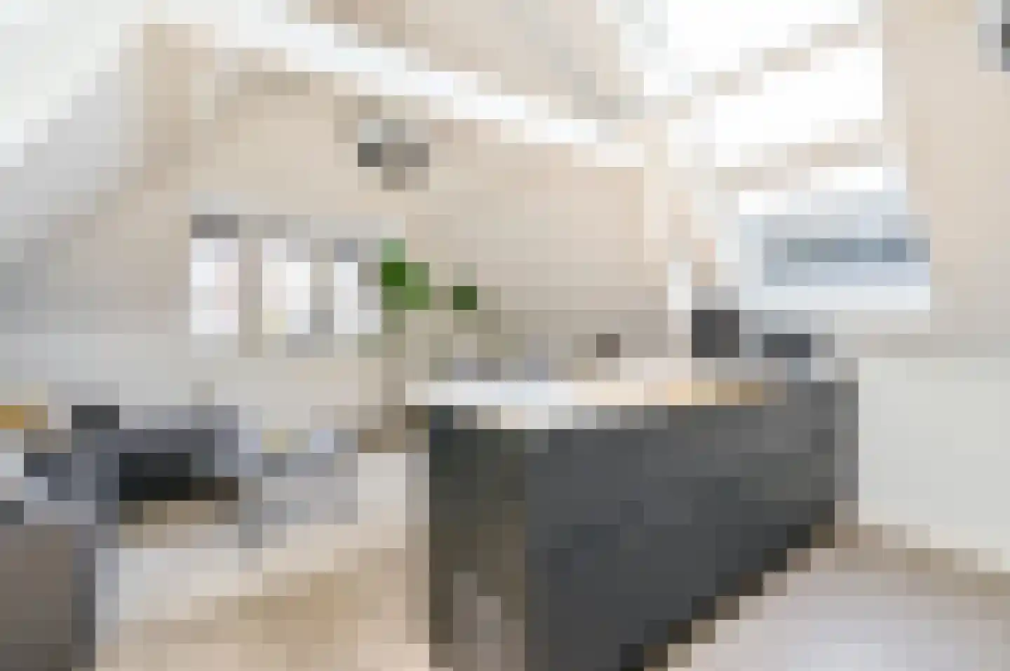 Bongerdsteeg 2 D Harderwijk thumbnail 15