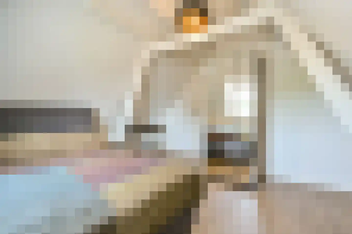 Bongerdsteeg 2 D Harderwijk thumbnail 20
