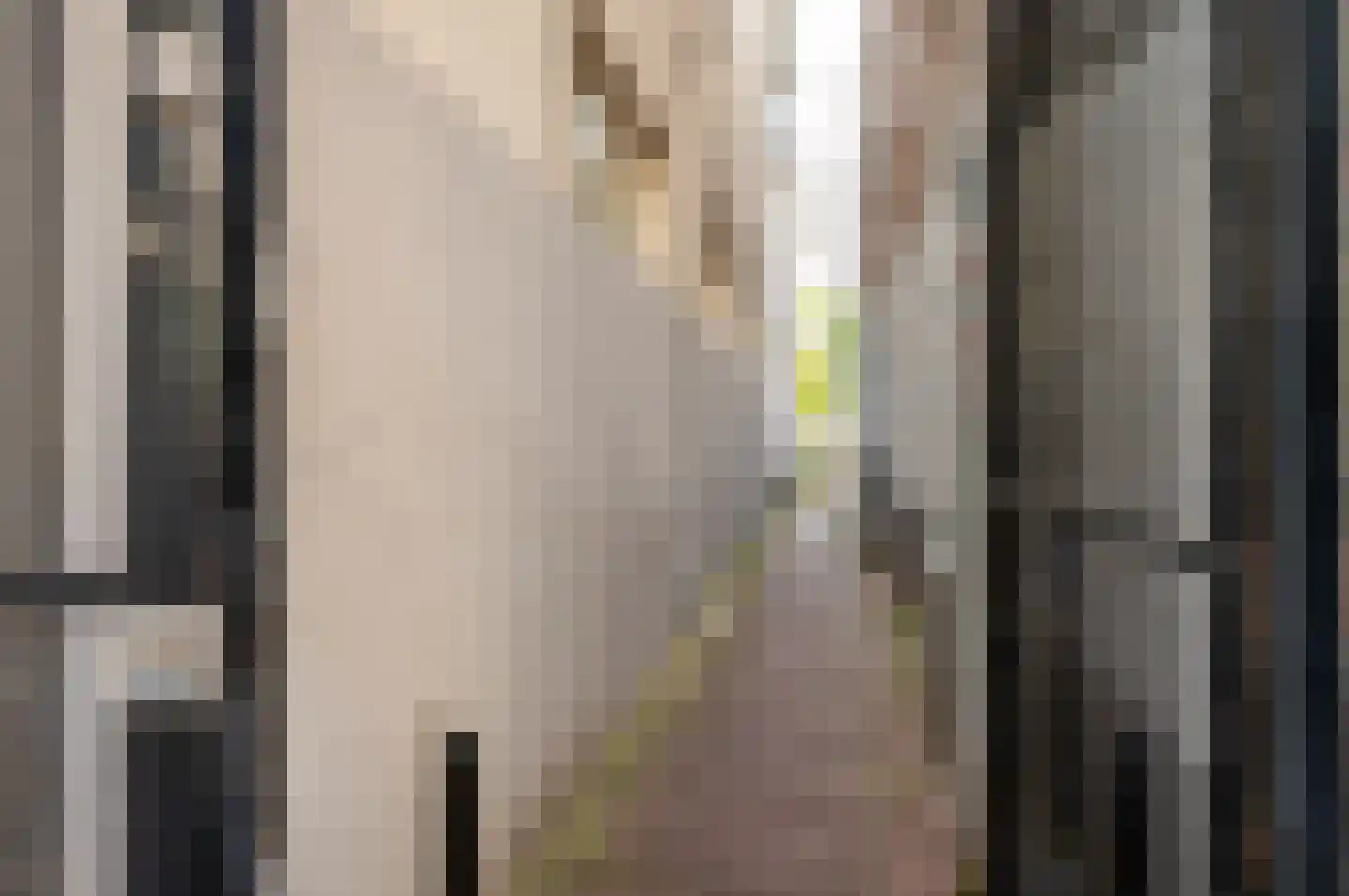 Bongerdsteeg 2 D Harderwijk thumbnail 31