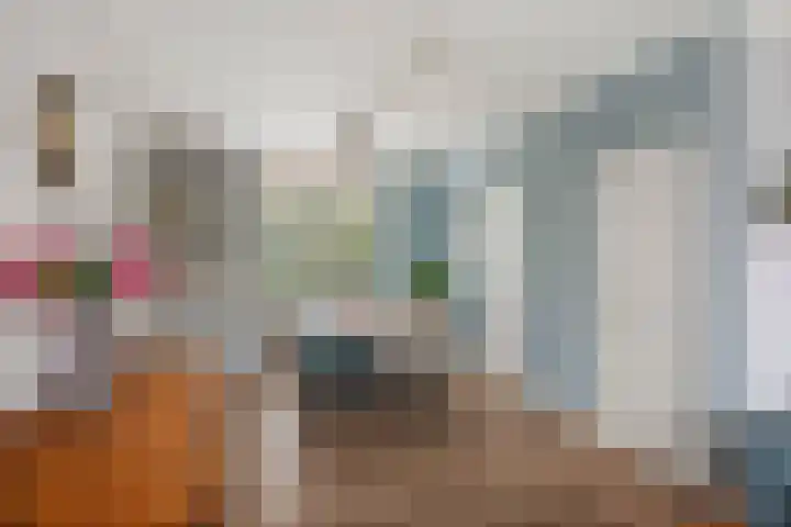 Bongerdstraat 11 A Steenenkamer thumbnail 6