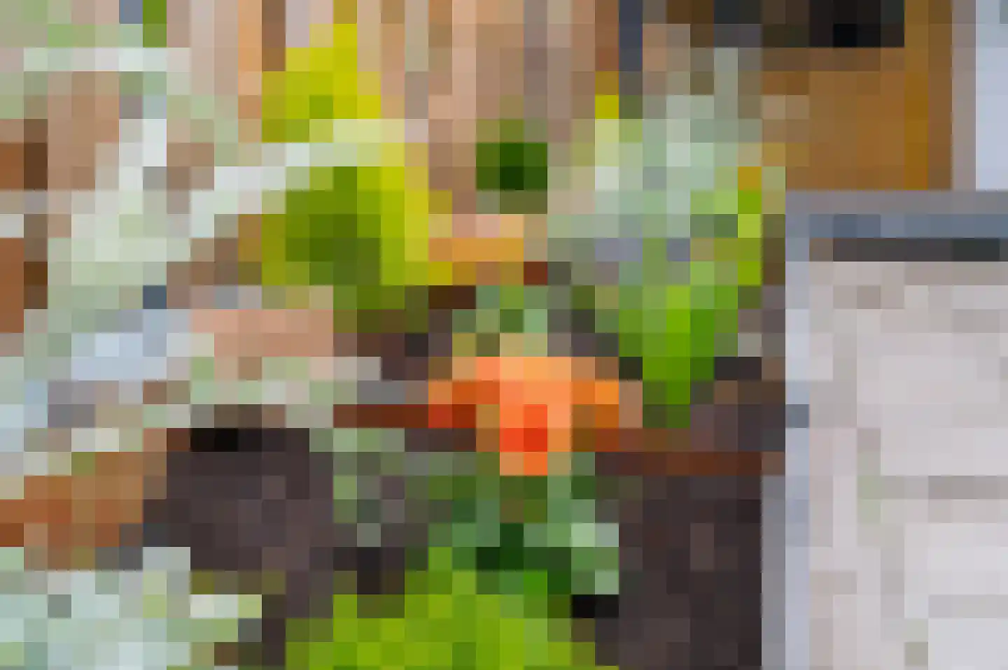 Bongerdstraat 11 Steenenkamer thumbnail 21