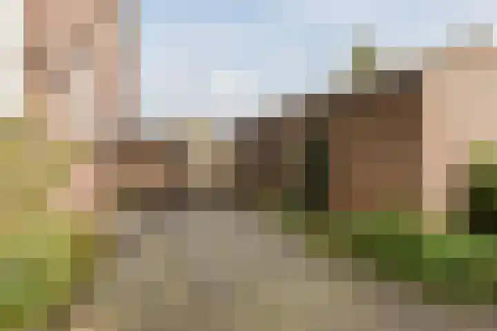 Bongerdstraat 14 Nijmegen thumbnail 10