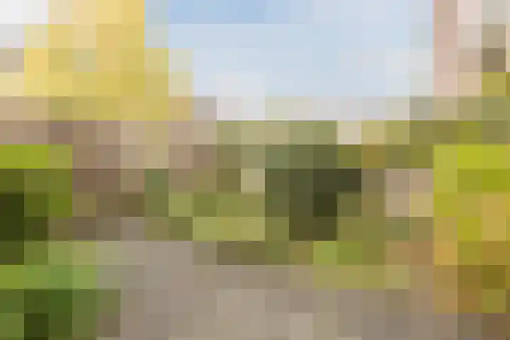 Bongerdstraat 14 Nijmegen thumbnail 9