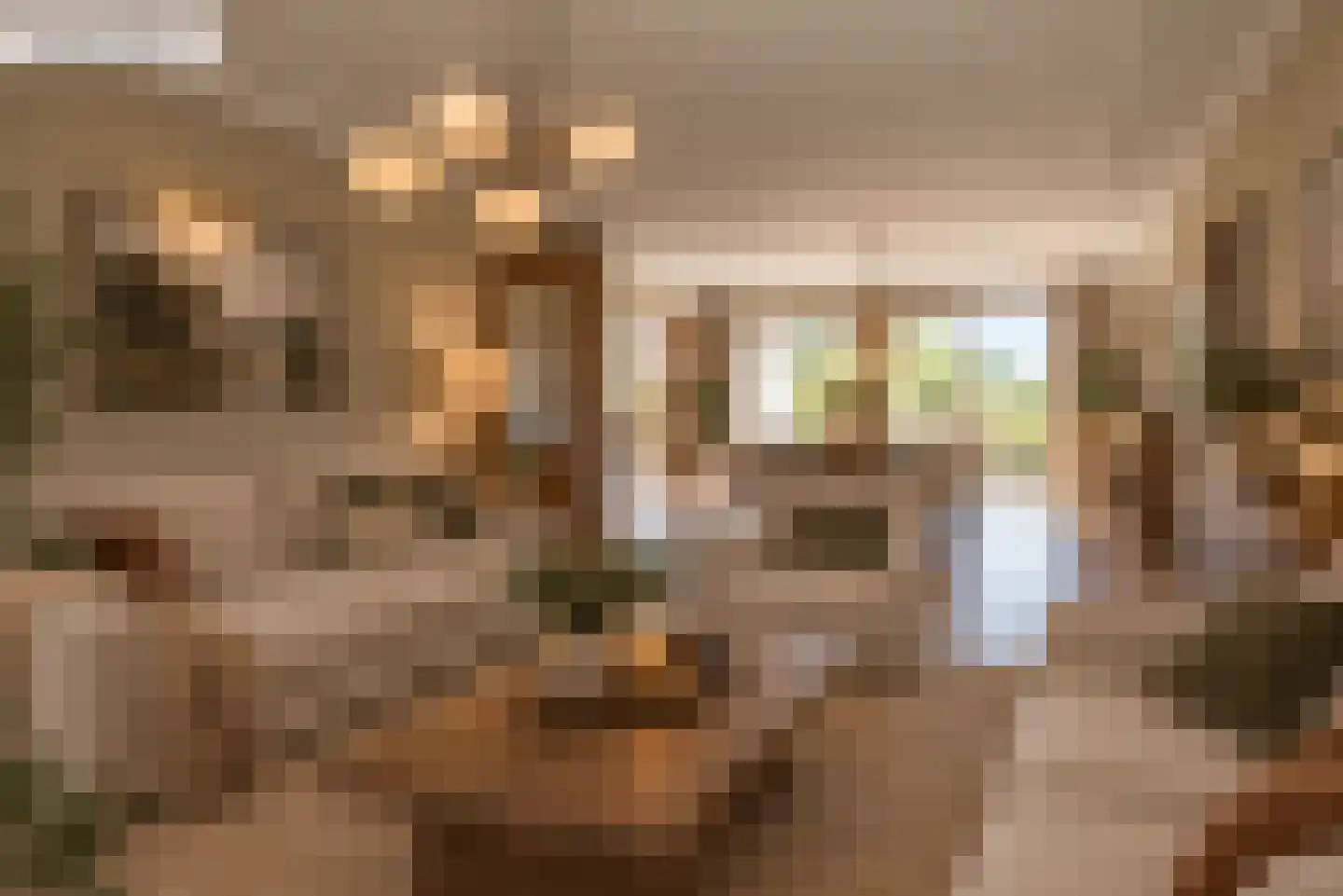 Bongerdstraat 17 Markenbinnen thumbnail 12