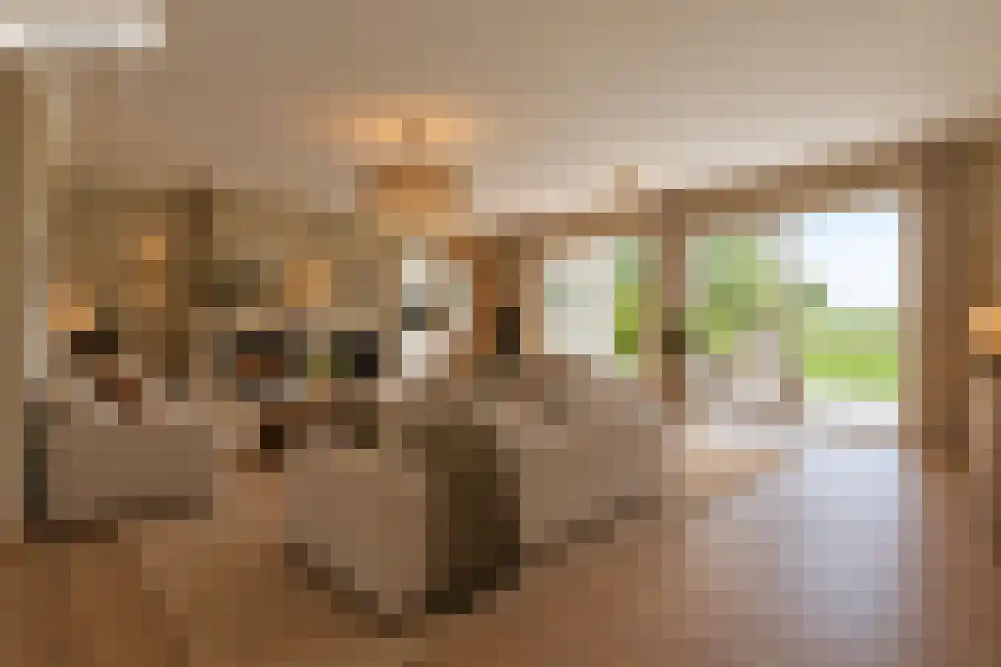 Bongerdstraat 17 Markenbinnen thumbnail 14