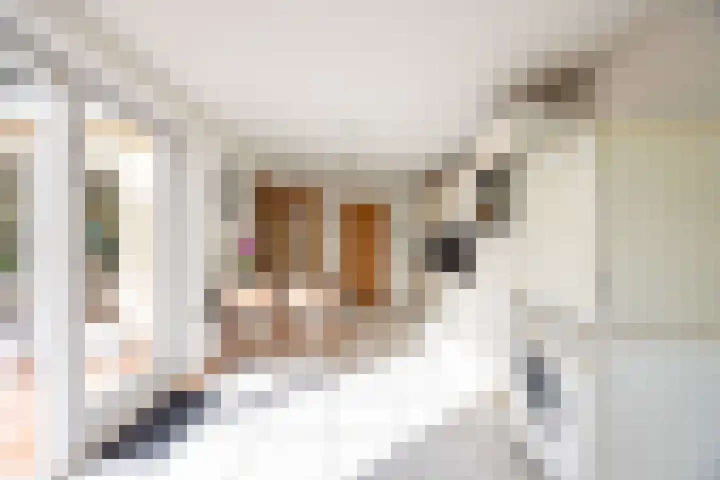 Bongerdstraat 17 Markenbinnen thumbnail 15