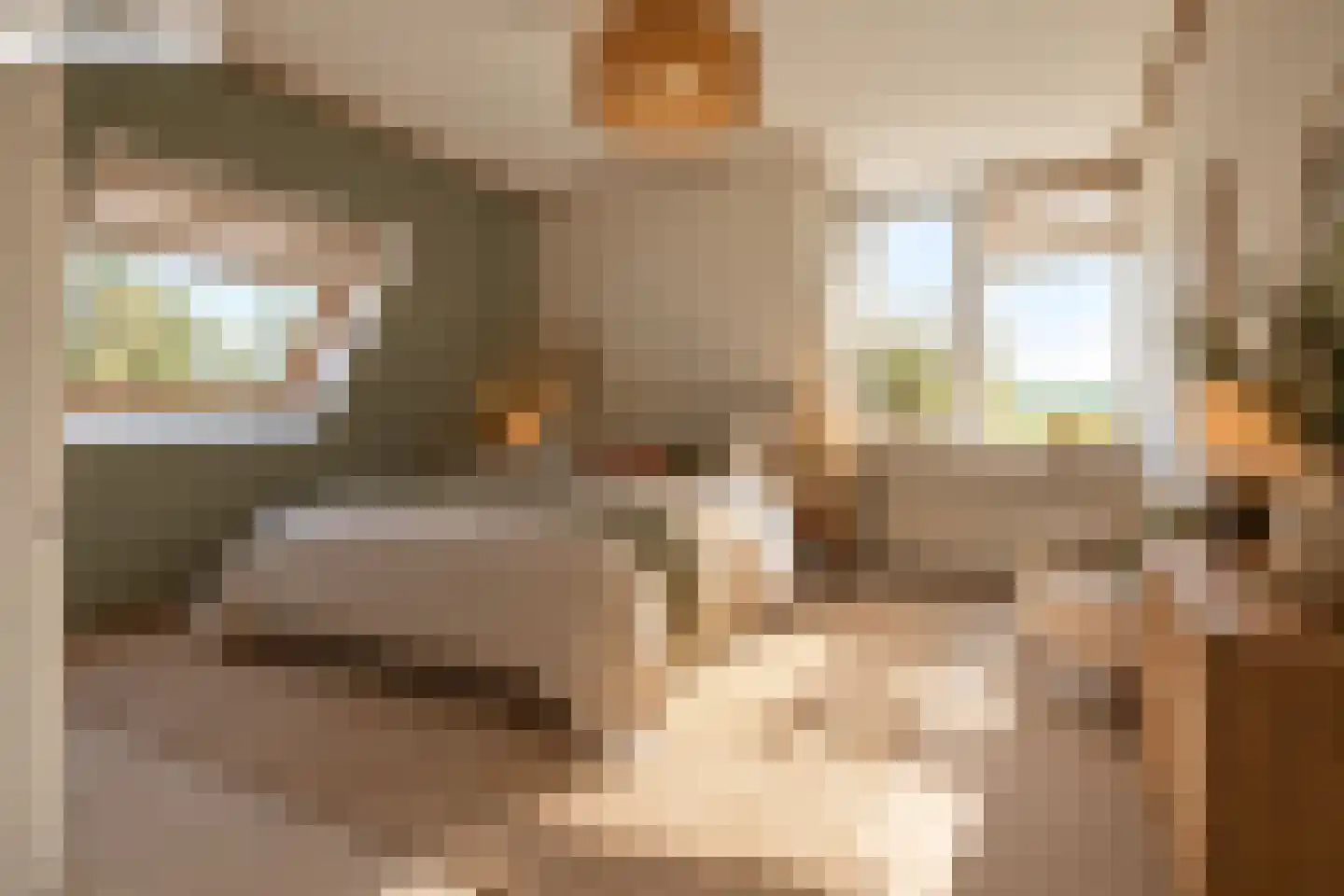 Bongerdstraat 17 Markenbinnen thumbnail 36