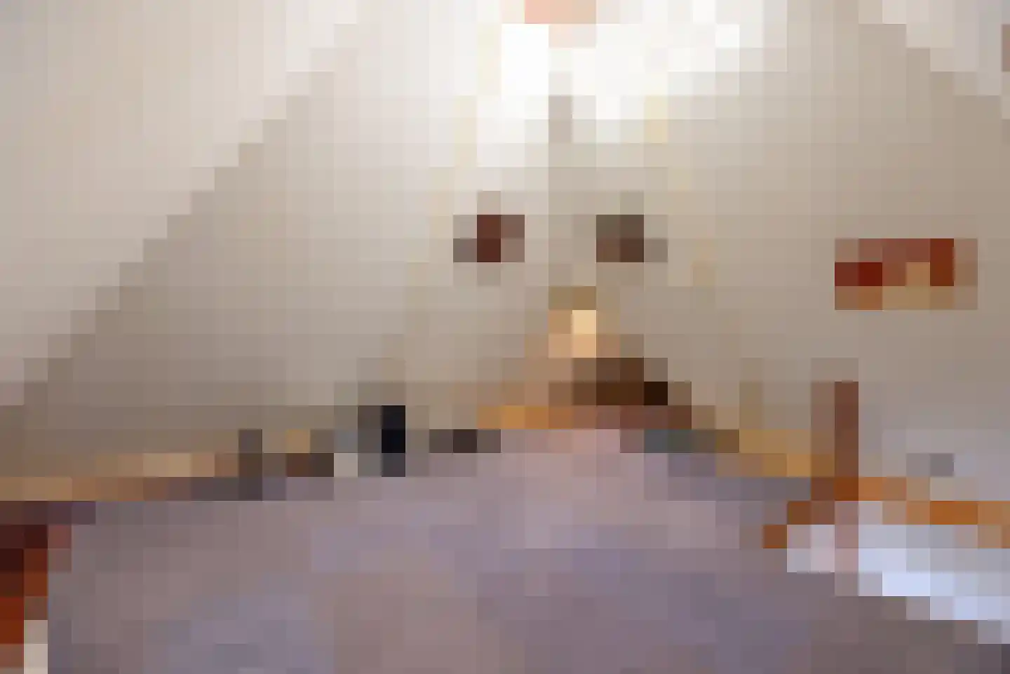Bongerdstraat 17 Markenbinnen thumbnail 50