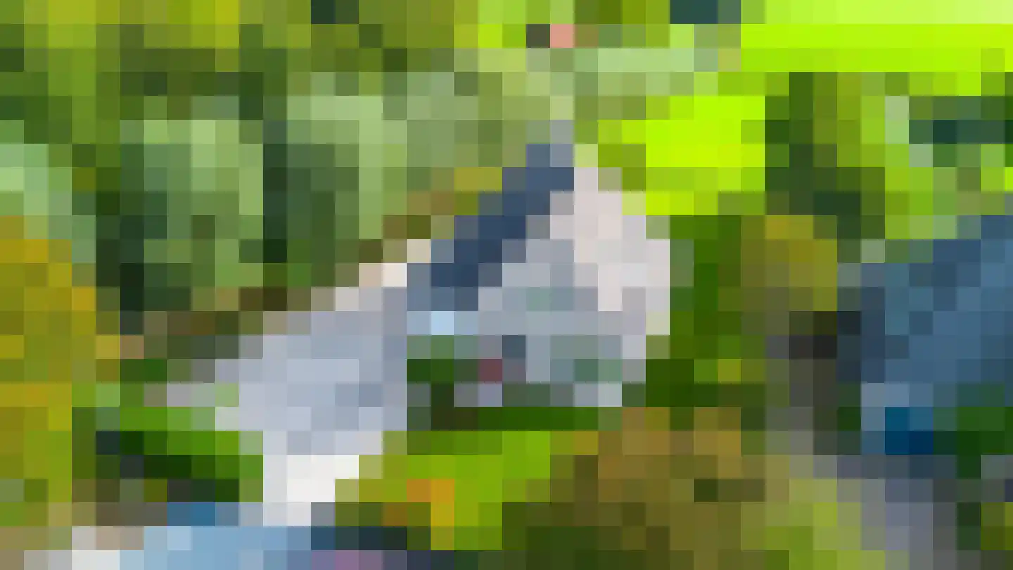 Bongerdstraat 17 Markenbinnen thumbnail 52