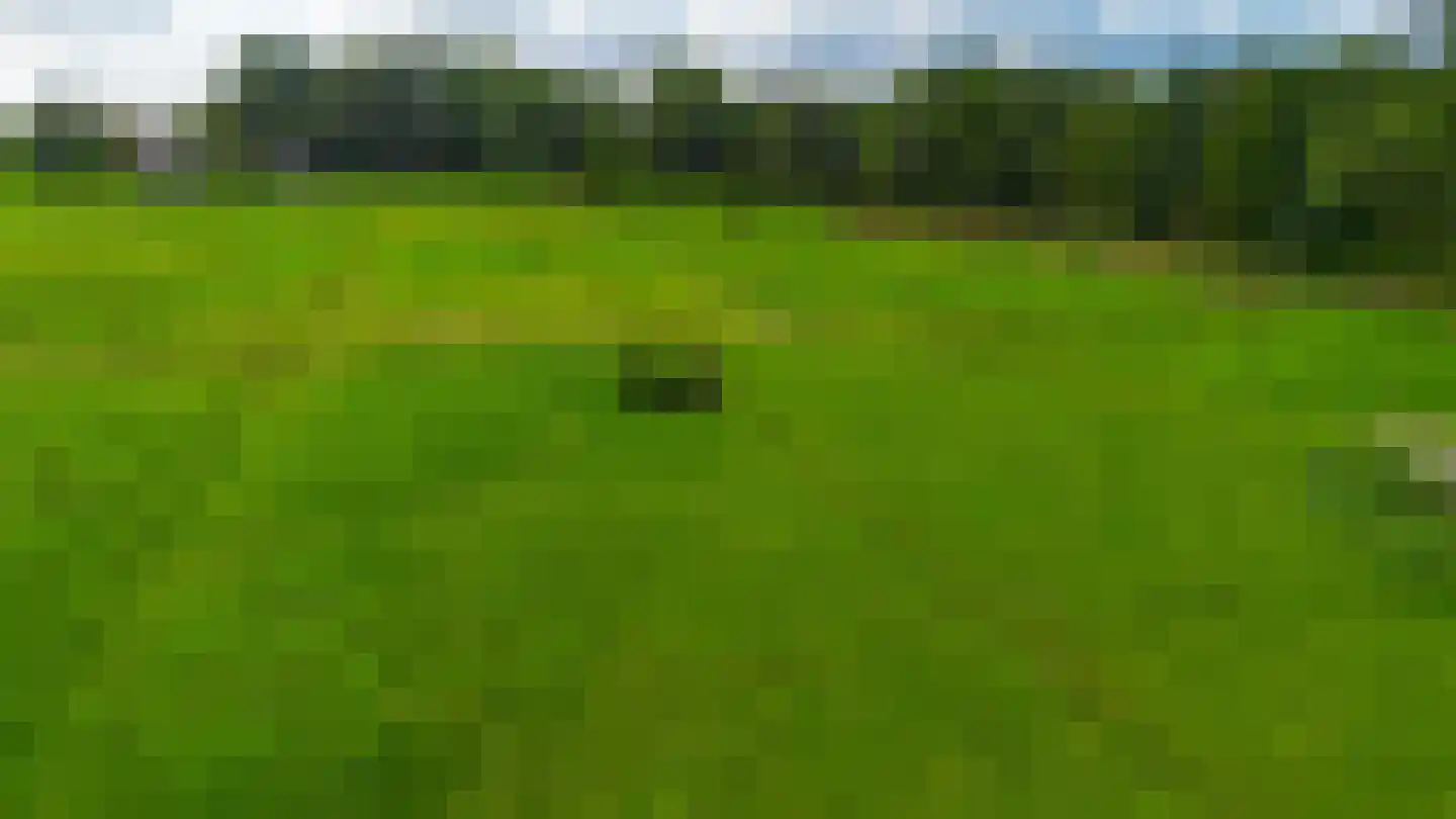 Bongerdstraat 17 Markenbinnen thumbnail 55