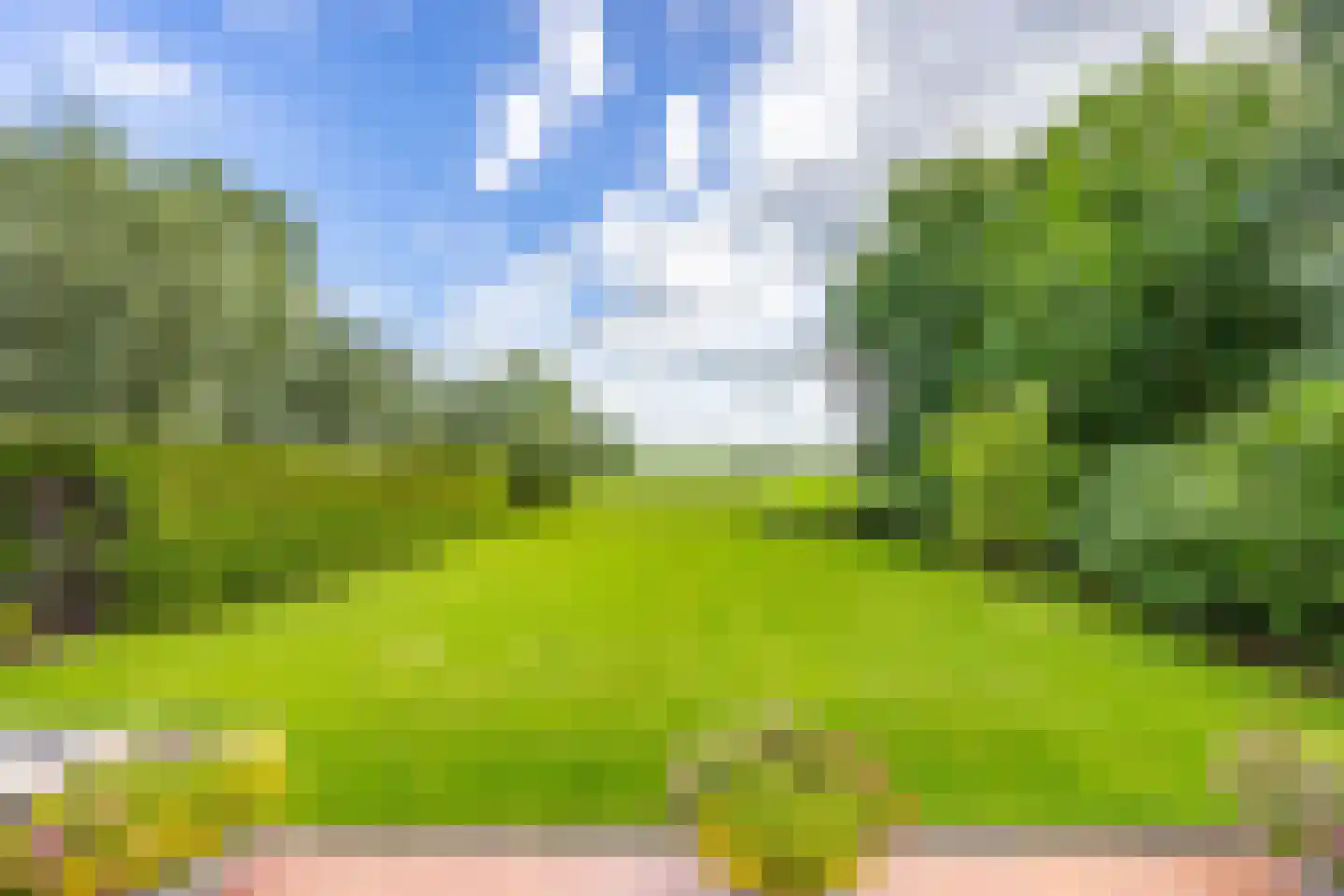 Bongerdstraat 17 Markenbinnen thumbnail 56