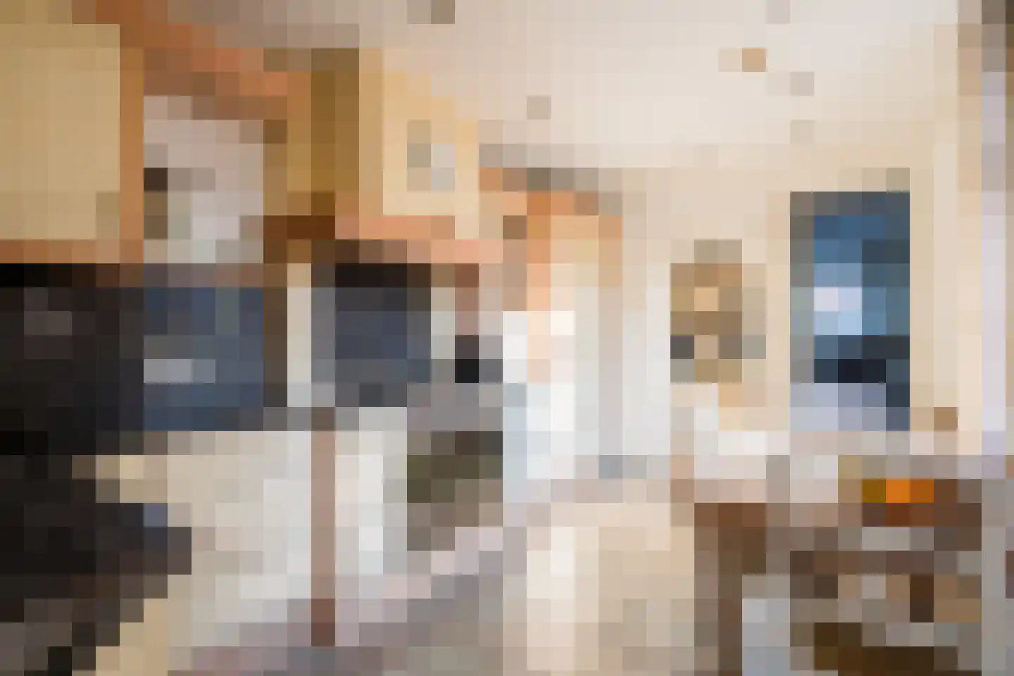 Bongerdstraat 243 Tegelen thumbnail 12