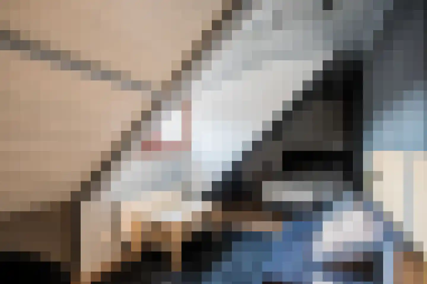 Bongerdstraat 243 Tegelen thumbnail 23