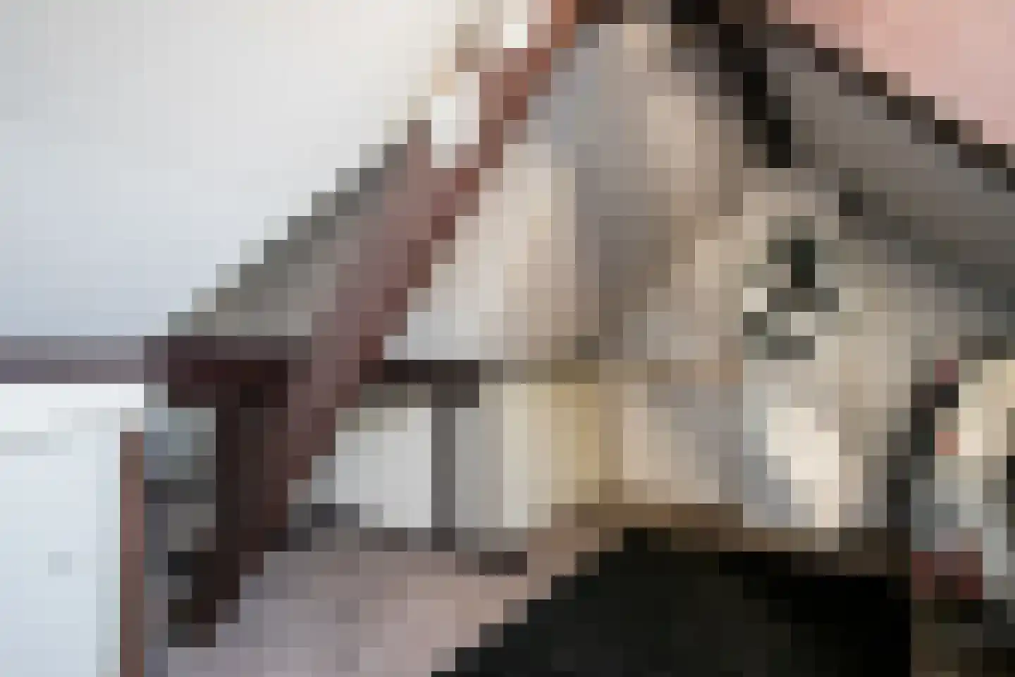 Bongerdstraat 243 Tegelen thumbnail 25