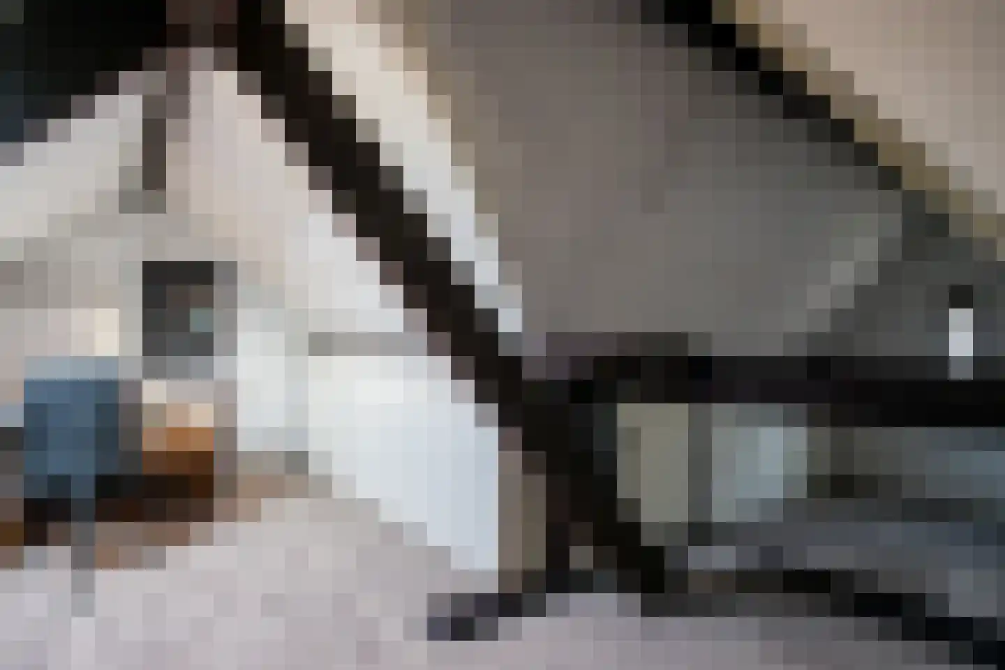Bongerdstraat 243 Tegelen thumbnail 26