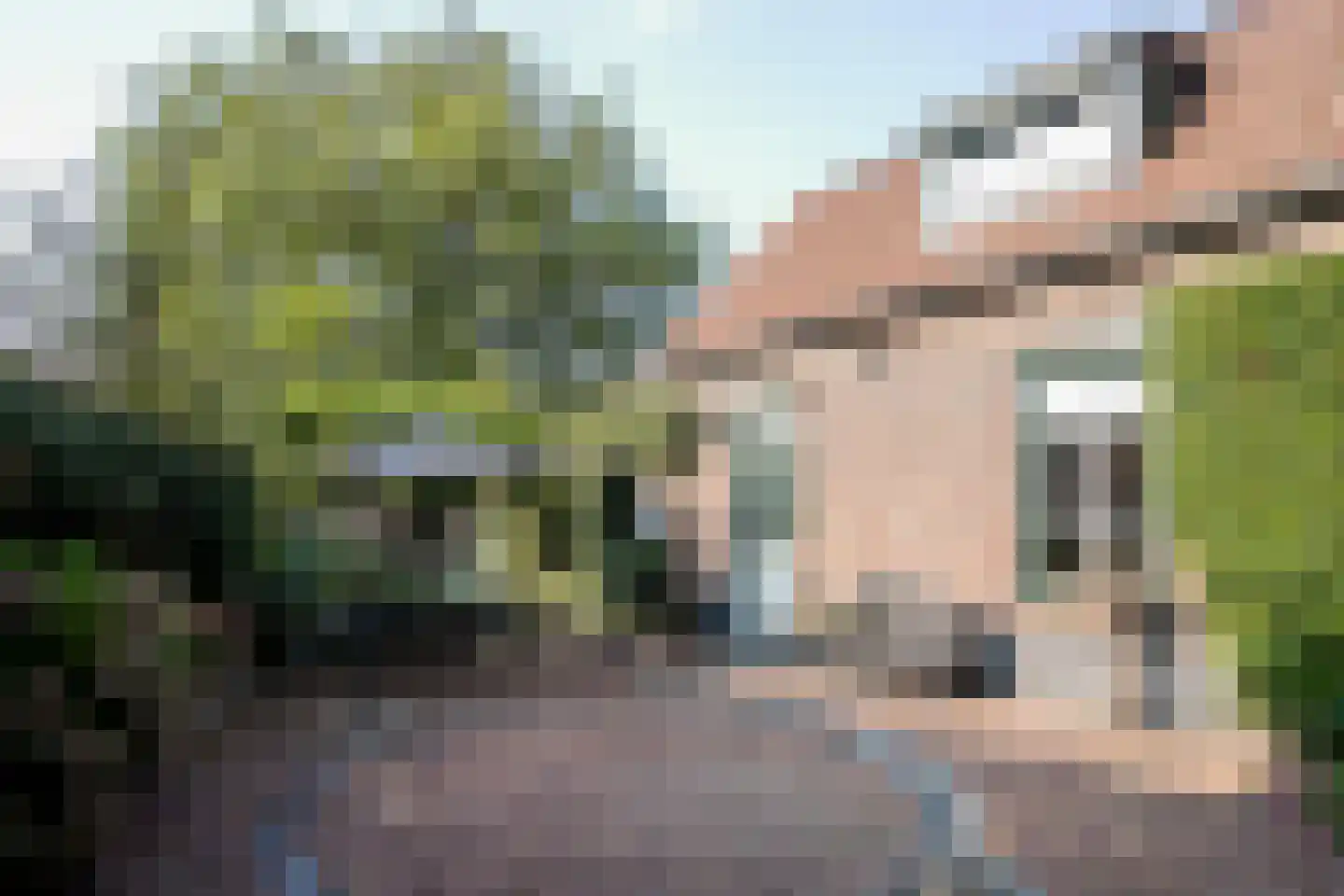 Bongerdstraat 243 Tegelen thumbnail 27