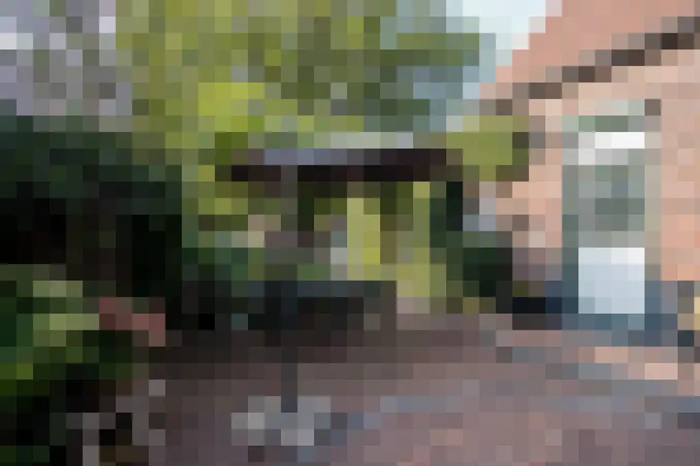 Bongerdstraat 243 Tegelen thumbnail 28