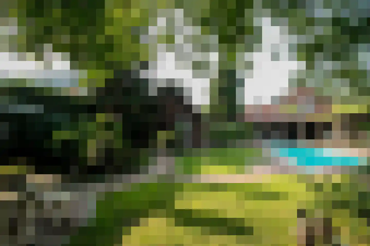 Bongerdstraat 243 Tegelen thumbnail 49