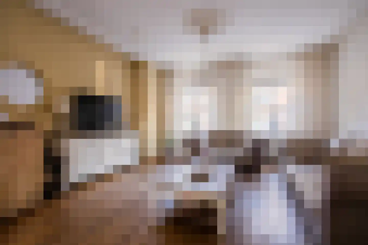 Bongerdstraat 243 Tegelen thumbnail 5