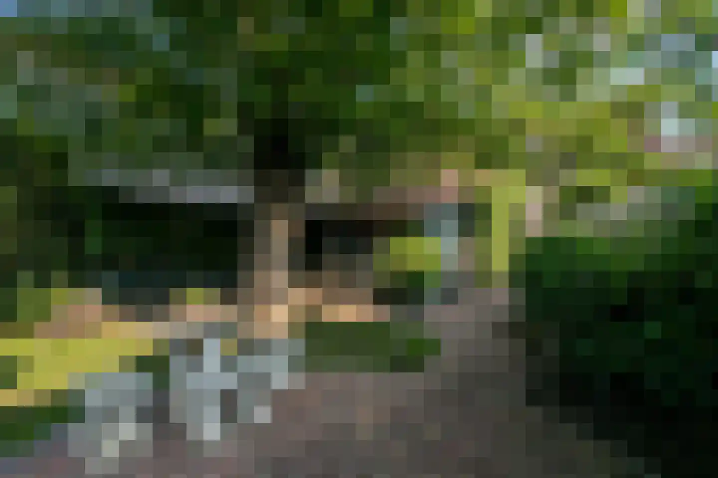 Bongerdstraat 243 Tegelen thumbnail 50