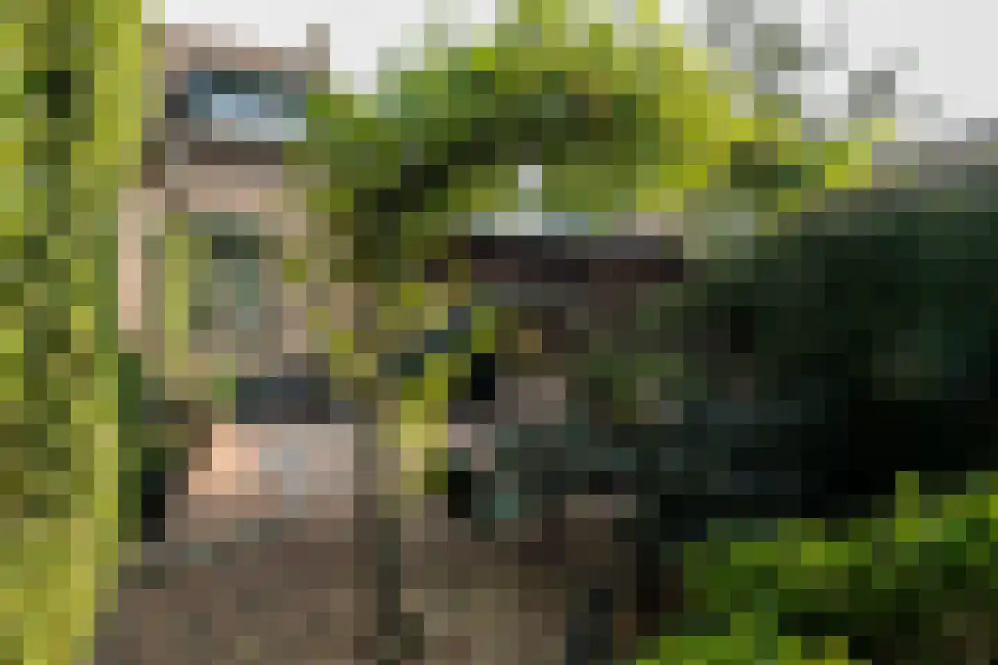 Bongerdstraat 243 Tegelen thumbnail 51