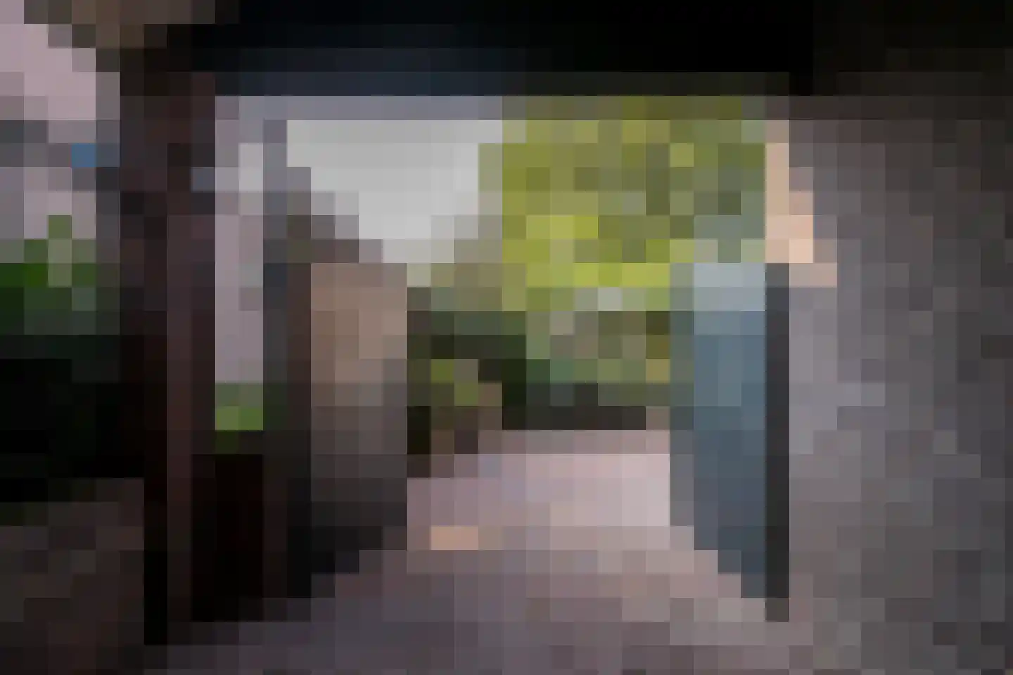 Bongerdstraat 243 Tegelen thumbnail 56