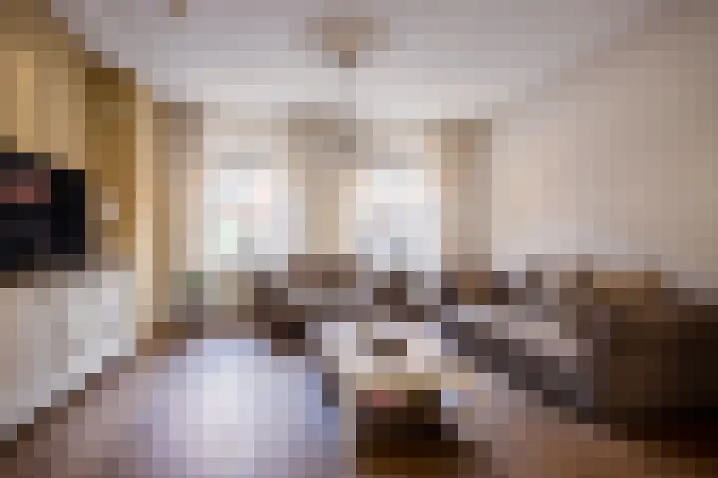 Bongerdstraat 243 Tegelen thumbnail 6