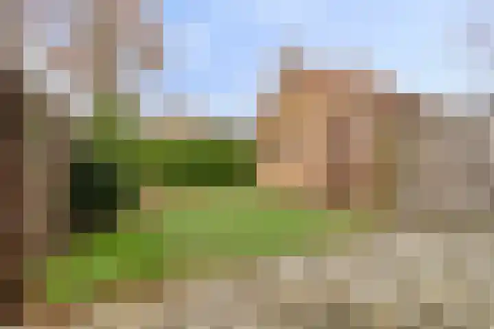 Bongerdstraat 34 Beek thumbnail 21