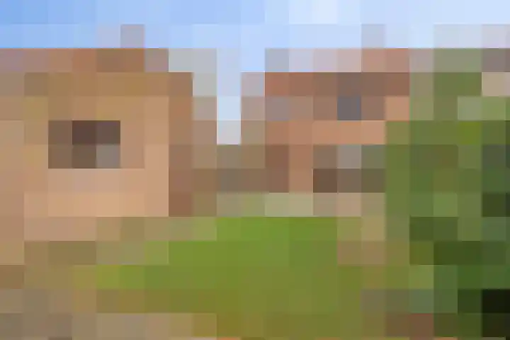 Bongerdstraat 34 Beek thumbnail 22