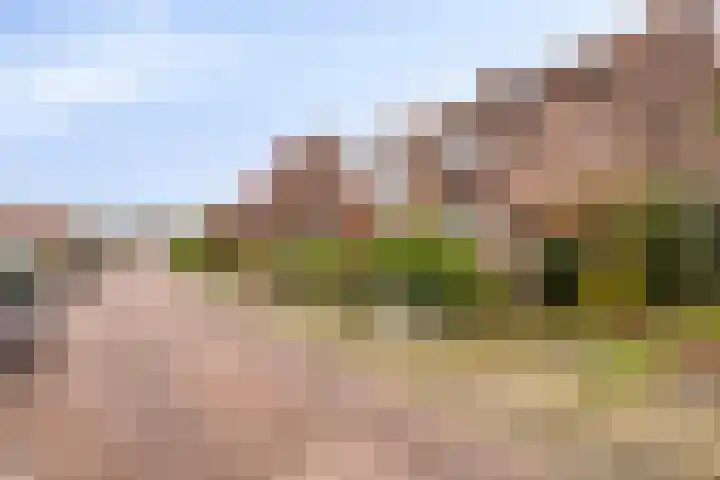 Bongerdstraat 34 Beek thumbnail 26
