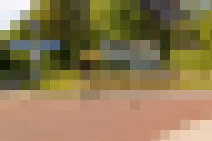 Bongerdstraat 34 Beek thumbnail 27