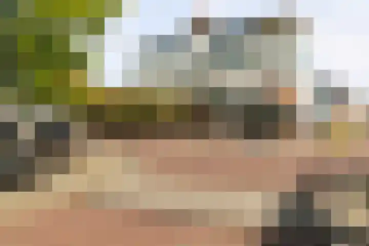 Bongerdstraat 34 Beek thumbnail 29