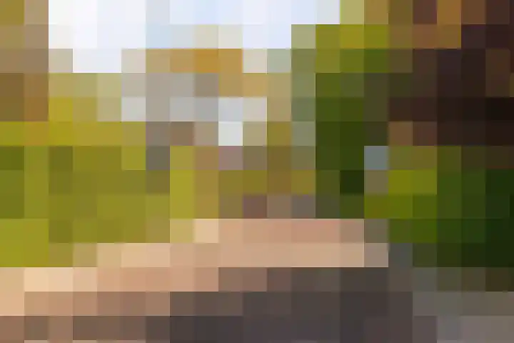 Bongerdstraat 34 Beek thumbnail 32