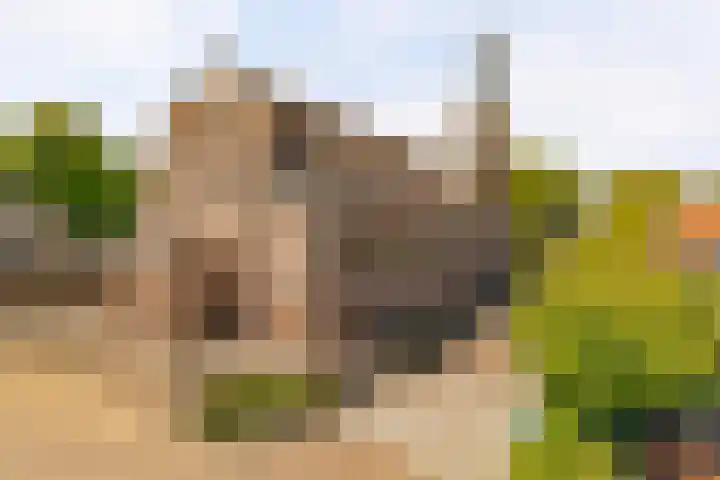 Bongerdstraat 34 Beek thumbnail 33
