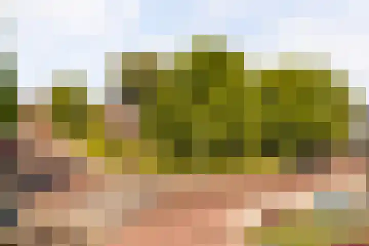 Bongerdstraat 34 Beek thumbnail 34