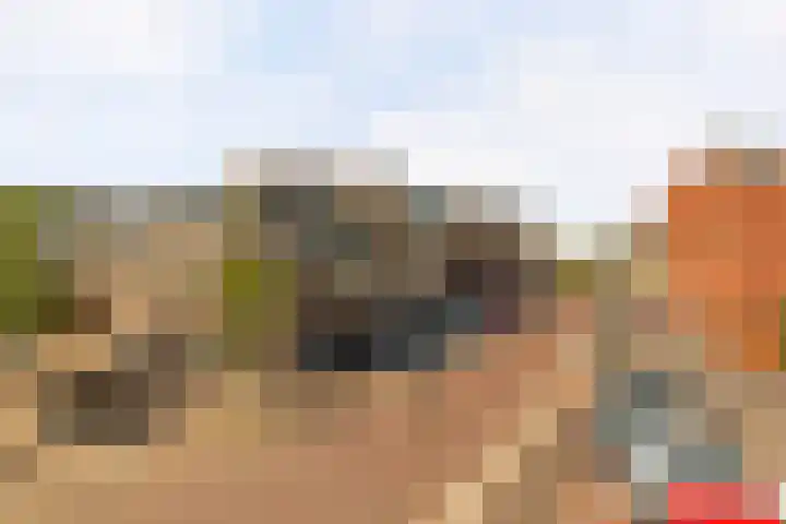 Bongerdstraat 34 Beek thumbnail 35