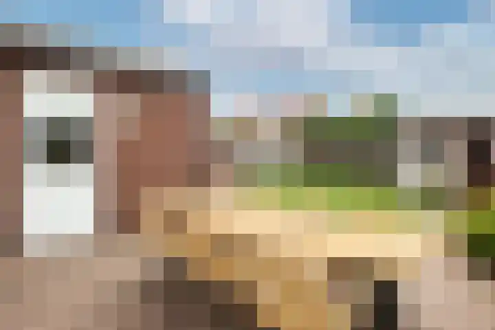 Bongerdstraat 4 Maasbracht thumbnail 15