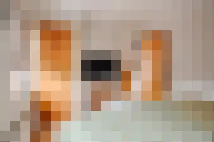 Bongerdstraat 4 Maasbracht thumbnail 22