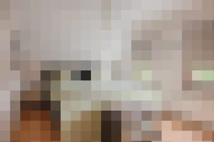 Bongerdstraat 4 Maasbracht thumbnail 23
