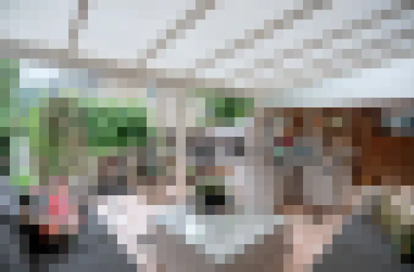 Bongerdstraat 70 Beek thumbnail 16
