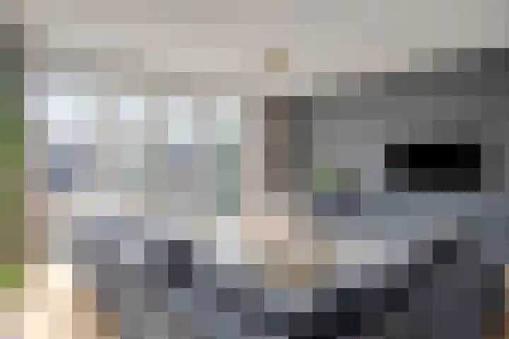 Bongersstraat 119 Ulft thumbnail 11
