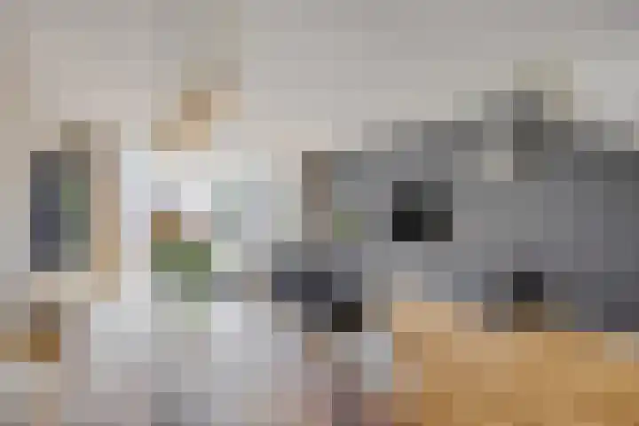 Bongersstraat 119 Ulft thumbnail 18