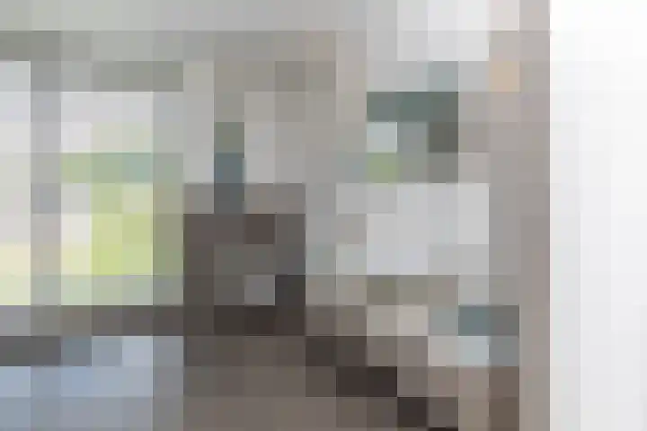 Bongersstraat 239 B Ulft thumbnail 28